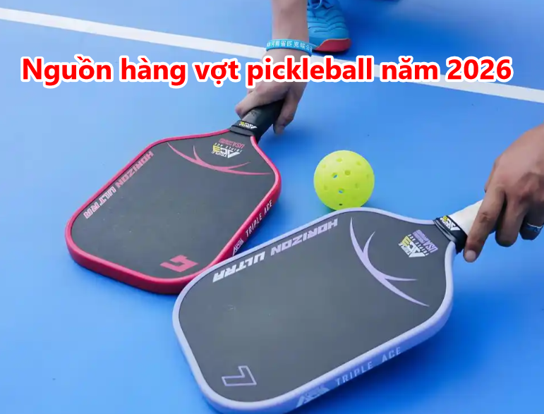 Nguồn hàng vợt Pickleball chất lượng năm 2026